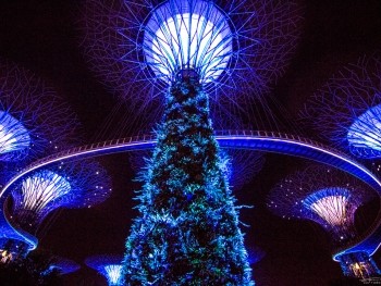 Top 8 Things Which Make You Want To Visit Singapore Now 